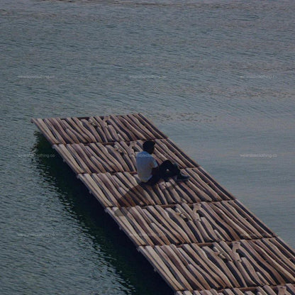Black T-shirt with the cover of Baby Keem’s The Melodic Blue studio album, but the floor is made of Fortnite wood build